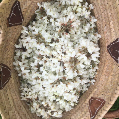 Fleur Acacia
